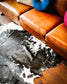 Cowhide Rug